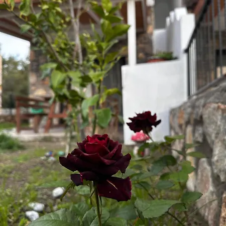 アパート Carian Trail Evdatca - Kargi Bay, Close To