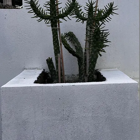 アパート Carian Trail Evdatca - Kargi Bay, Close To