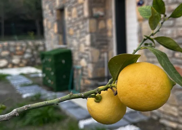 Carian Trail Evdatca - Kargi Bay, Close To *