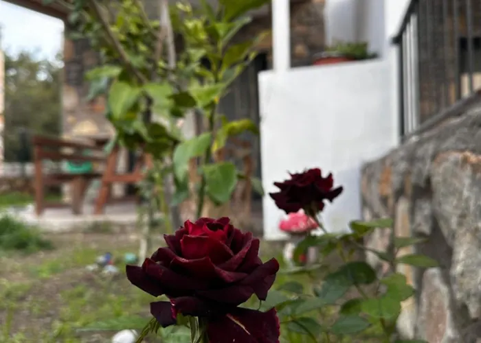 Apartamento Carian Trail Evdatca - Kargi Bay, Close To