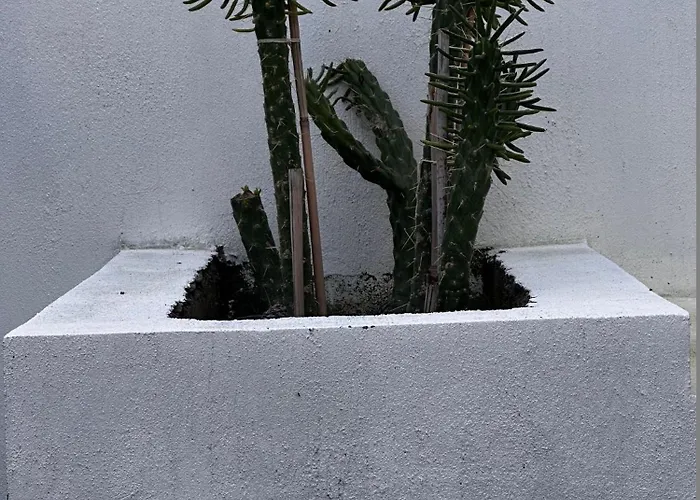 Διαμέρισμα Carian Trail Evdatca - Kargi Bay, Close To