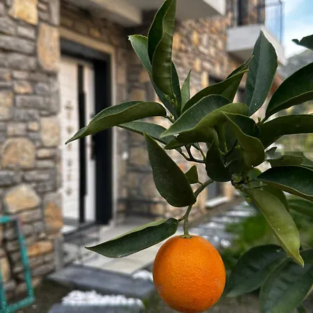 Carian Trail Evdatca - Kargi Bay, Close To