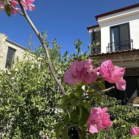 Apartament Carian Trail Evdatca - Kargi Bay, Close To