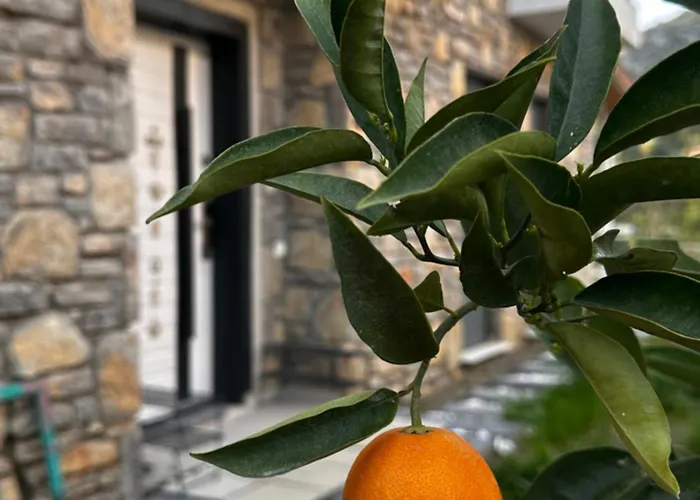 Carian Trail Evdatca - Kargi Bay, Close To