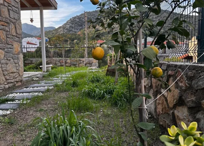 Carian Trail Evdatca - Kargi Bay, Close To